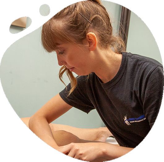 Sports Massage Therapy Good Condition
